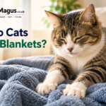 Why Do Cats Knead Blankets