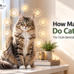 how many lives do cats have